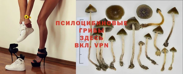 кокс Алексеевка